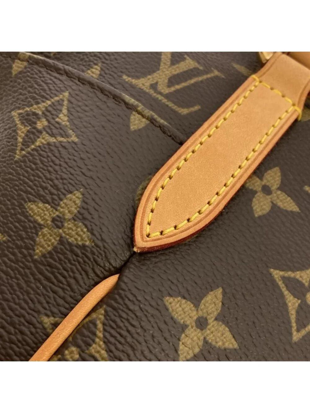 Louis Vuitton Monogram Totally PM